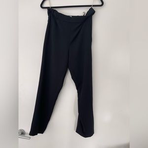 Aritzia Wilfred Trousers